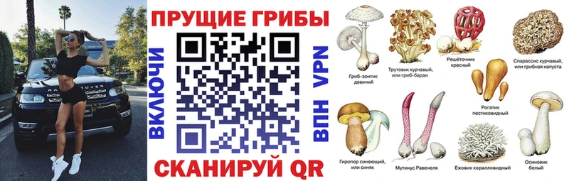 Галлюциногенные грибы GOLDEN TEACHER где купить наркоту Сосенский